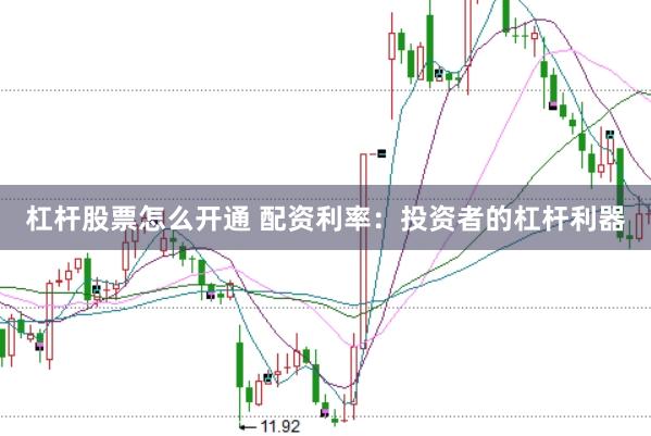 杠杆股票怎么开通 配资利率：投资者的杠杆利器