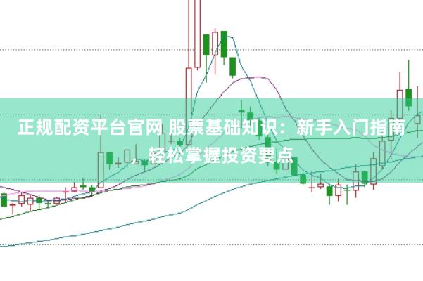 正规配资平台官网 股票基础知识：新手入门指南，轻松掌握投资要点
