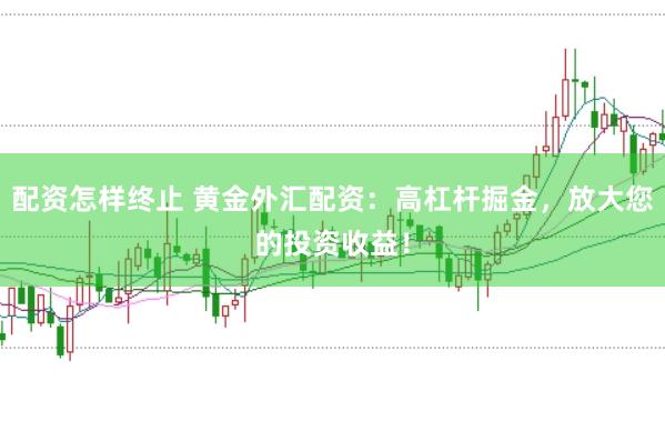 配资怎样终止 黄金外汇配资：高杠杆掘金，放大您的投资收益！