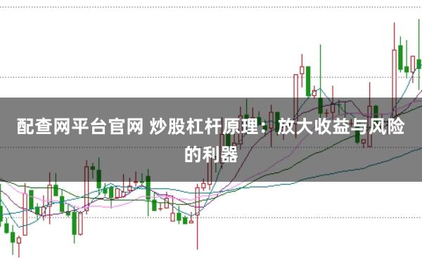 配查网平台官网 炒股杠杆原理：放大收益与风险的利器