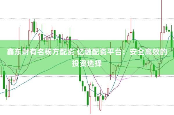 鑫东财有名杨方配资 亿融配资平台：安全高效的投资选择