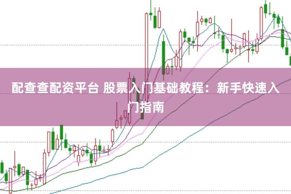 配查查配资平台 股票入门基础教程:新手快速入门指南